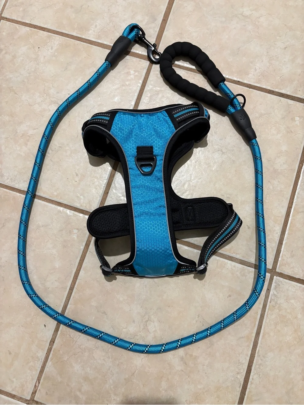 Blue Dog Large Harness and Leash Set